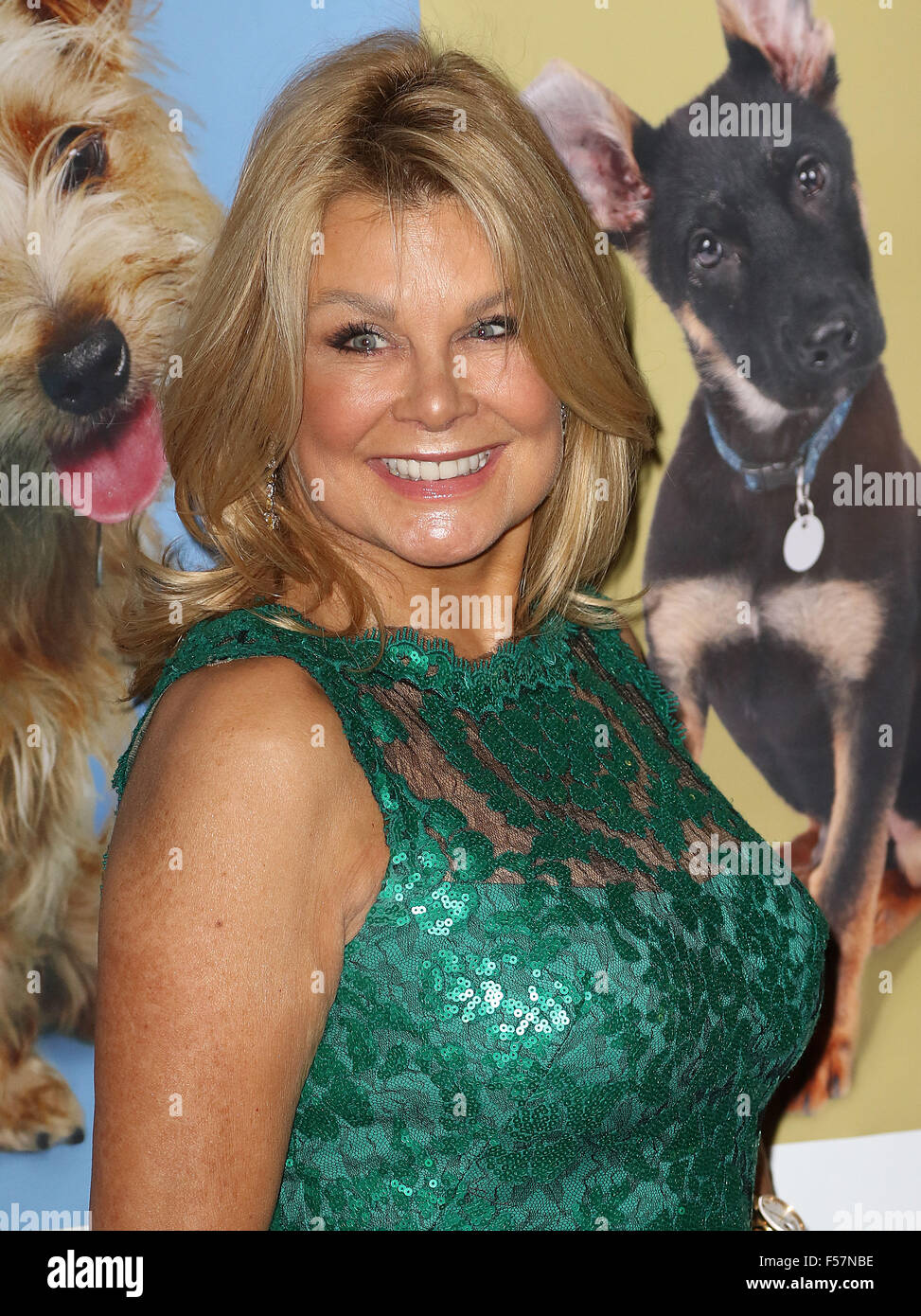 October 21, 2015 - Jilly Johnson attending the 'Daily Mirror & RSPCA Animal Hero Awards 2015' at 8 Northumberland Avenue in Lond Stock Photo