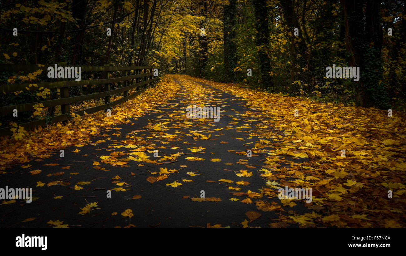 Autumn lane Stock Photo