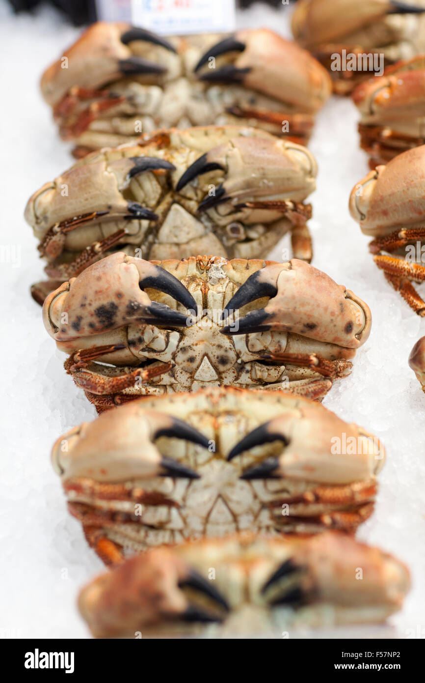 Crabs market hi-res stock photography and images - Alamy