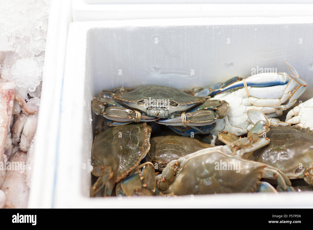 UK, Leeds, live crabs for sale in Leeds Market Stock Photo - Alamy