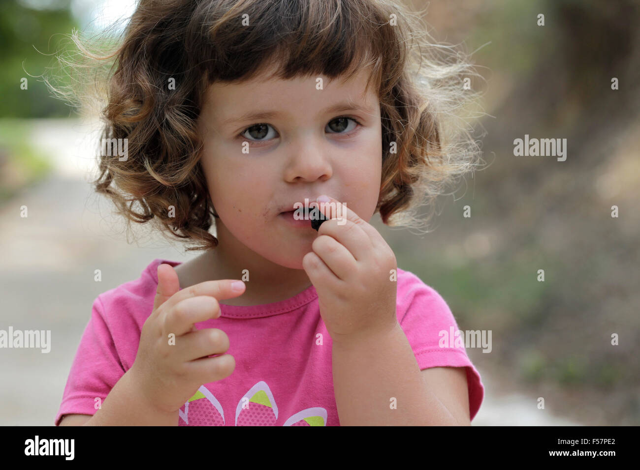 Little child eating blackberries Stock Photo Alamy
