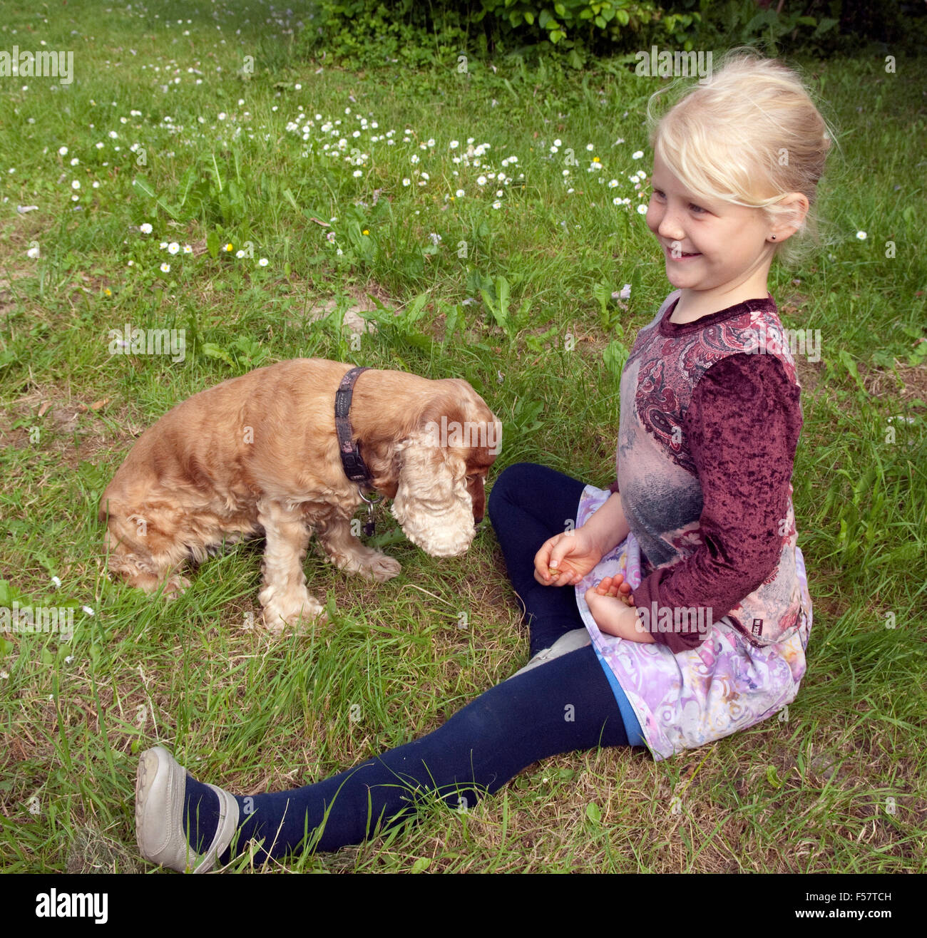 Maedchen, spielen, Hund Stock Photo