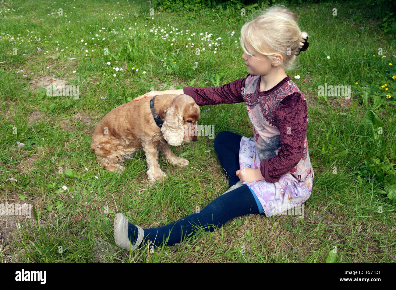 Maedchen, spielen, Hund Stock Photo