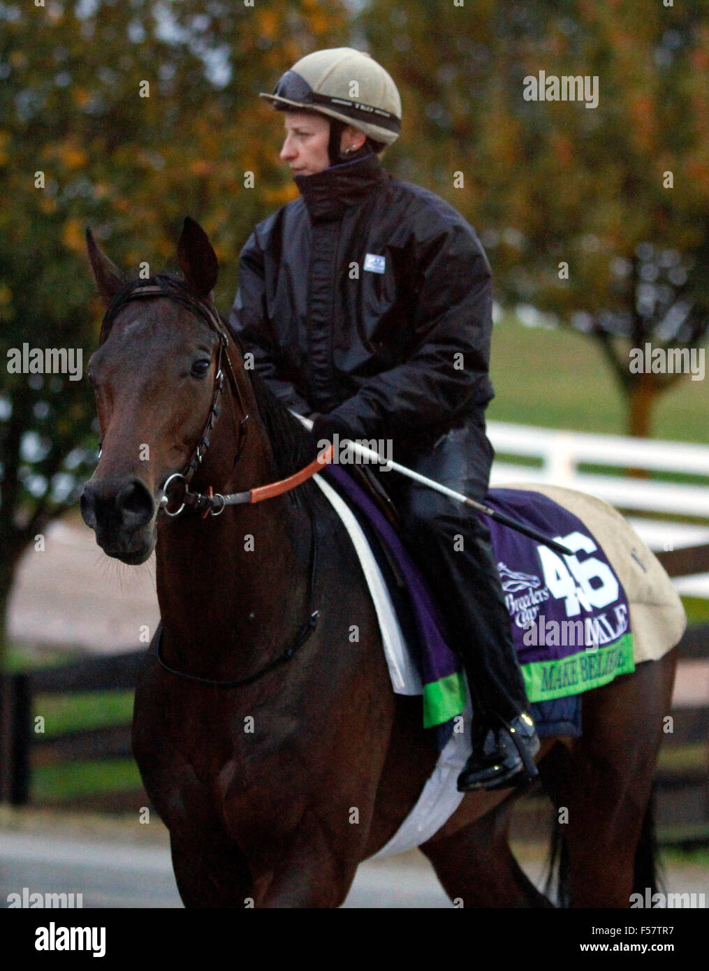 Lexington, KY, USA. 28th Oct, 2015. October 28, 2015: Make Believe (GB), trained by Andre Fabre, and owned by Prince A.A. Faisal, is entered in the Breeder's Cup Mile. Candice Chavez/ESW/CSM/Alamy Live News Stock Photo