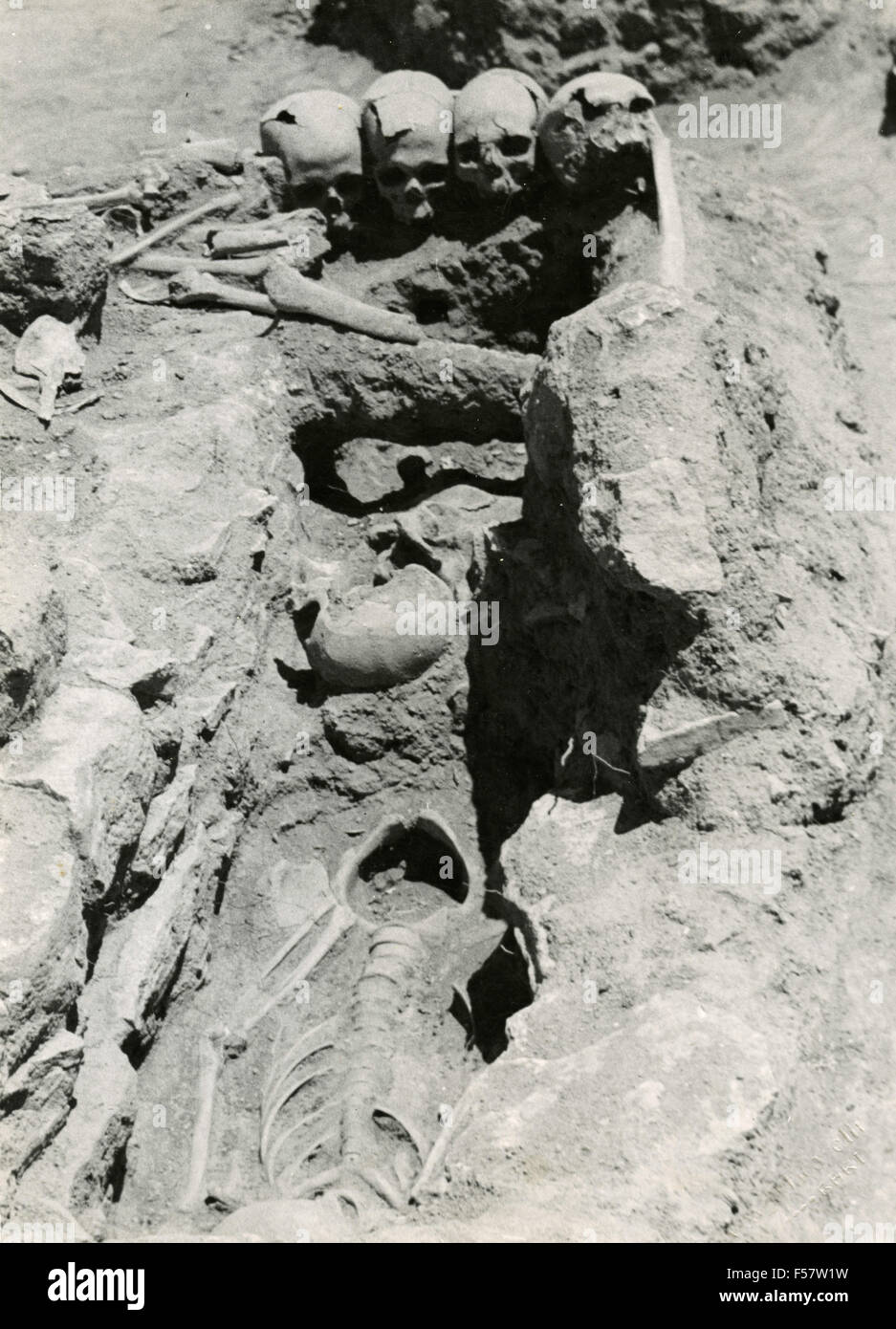 Hannibal carthage image