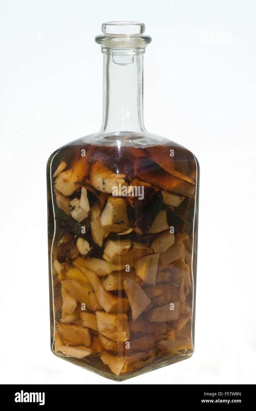 Beinwell; Wurzel, Flasche, Ansatz, Beinwellwurzeln, Stock Photo