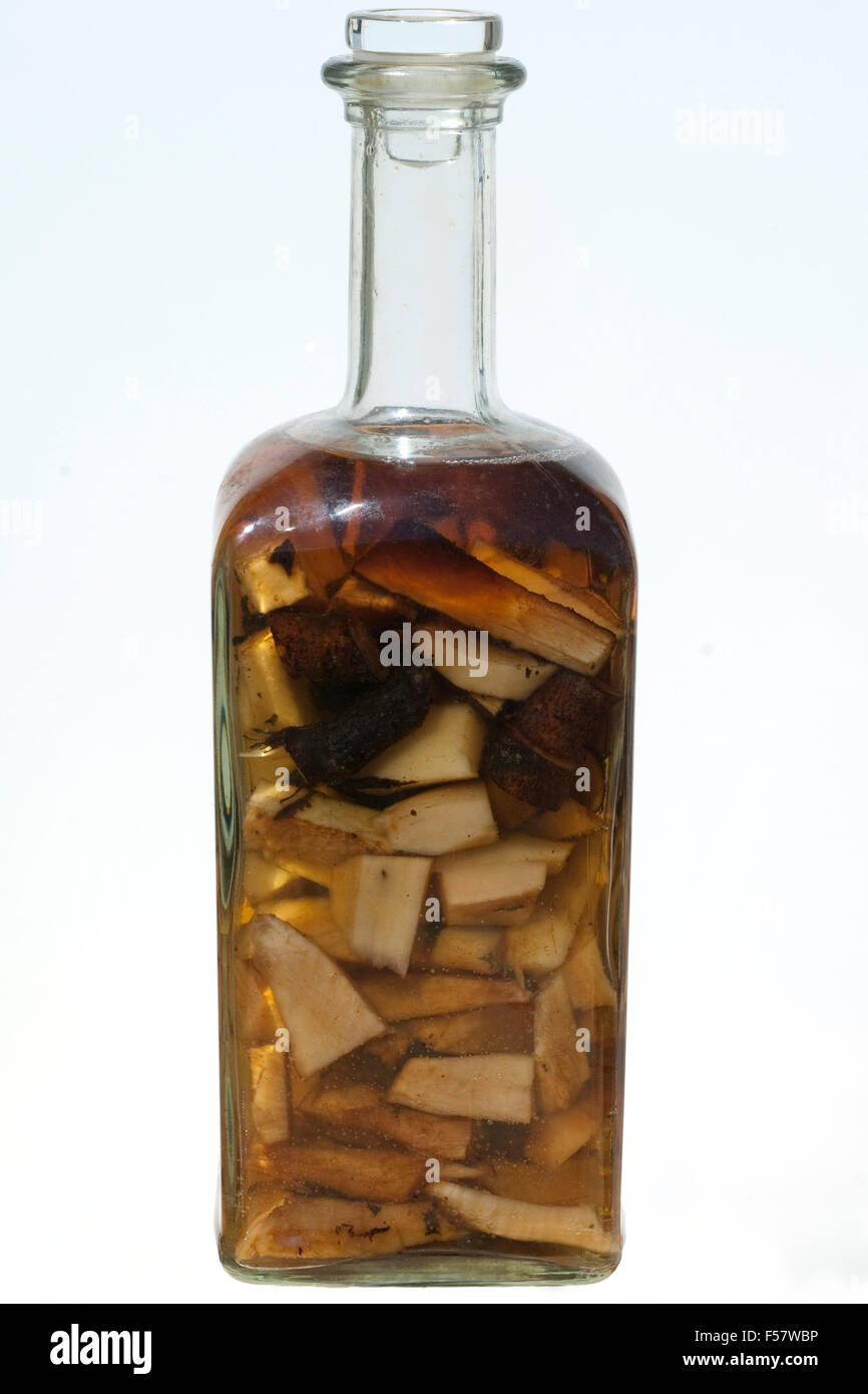 Beinwell; Wurzel, Flasche, Ansatz, Beinwellwurzeln, Stock Photo