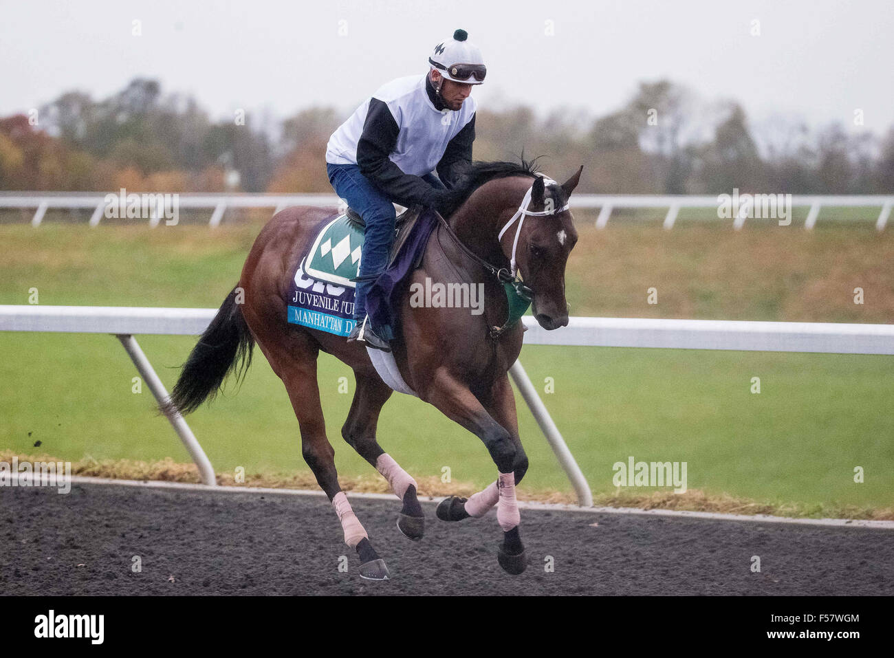 Contessa 28 hi-res stock photography and images - Alamy