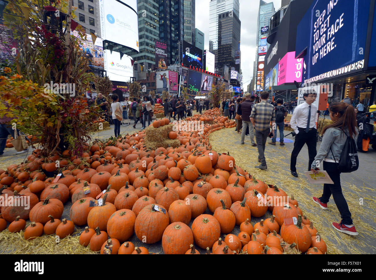 New York, USA. 29th Oct, 2015. A pop-up pumpkin patch is set up for  Halloween in Times Square as a promotion for the App Google Photos, in New  York, the United States,