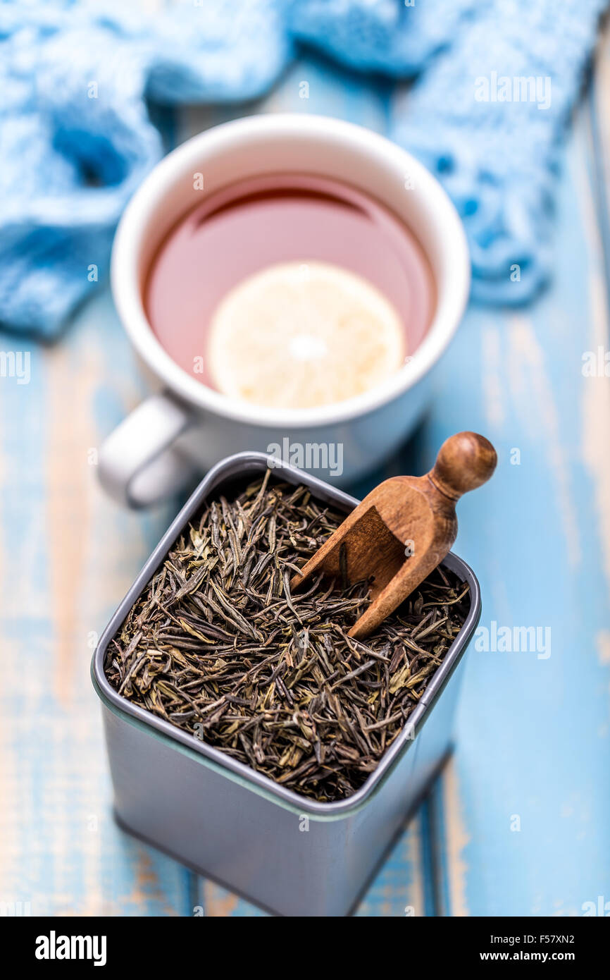 Dry tea in tin can with wooden soop Stock Photo