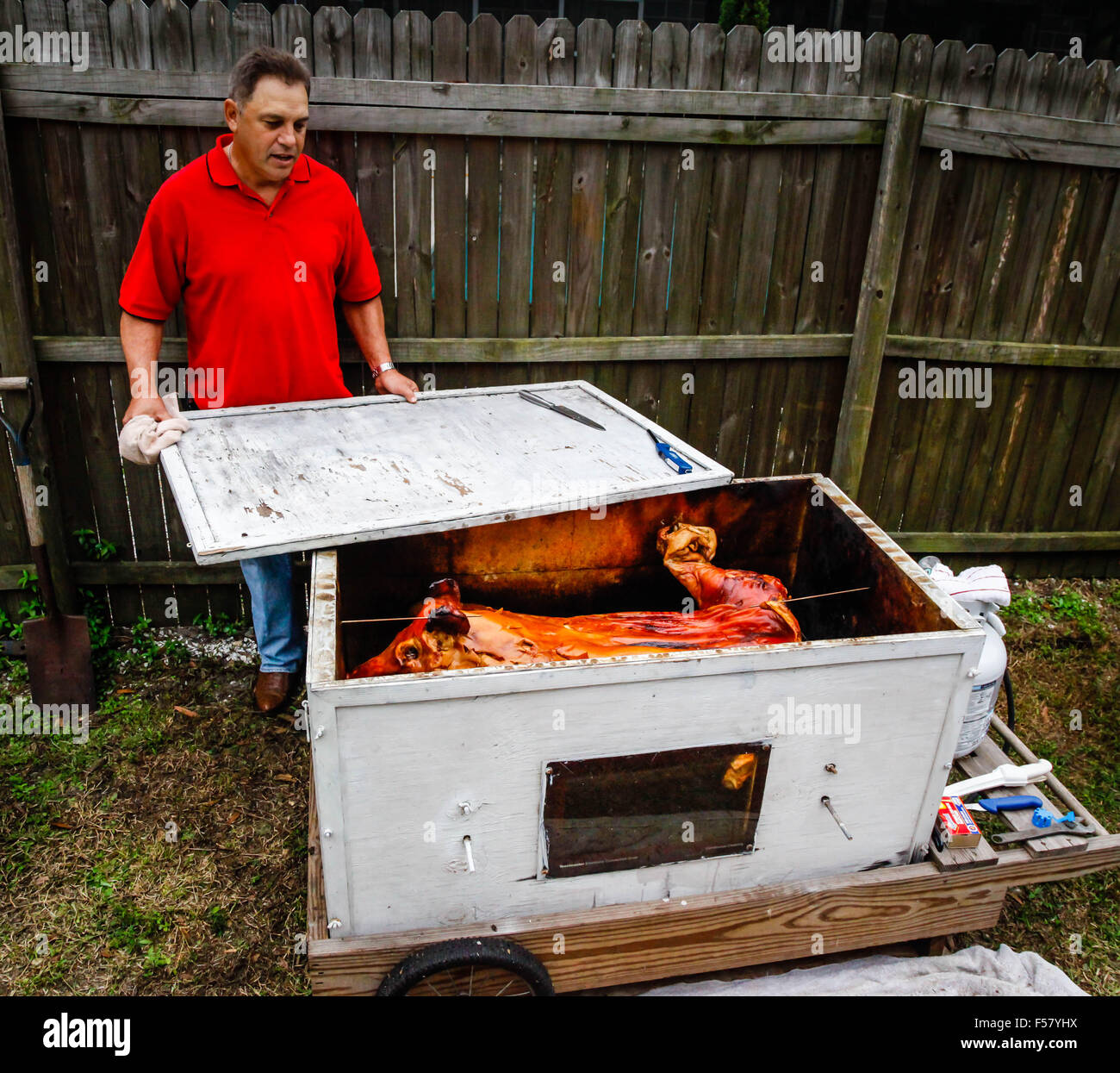 A dramatically Crispy Roasted Pig, being prepared to be removed from it's traditional Cuban style above ground cooking box Stock Photo