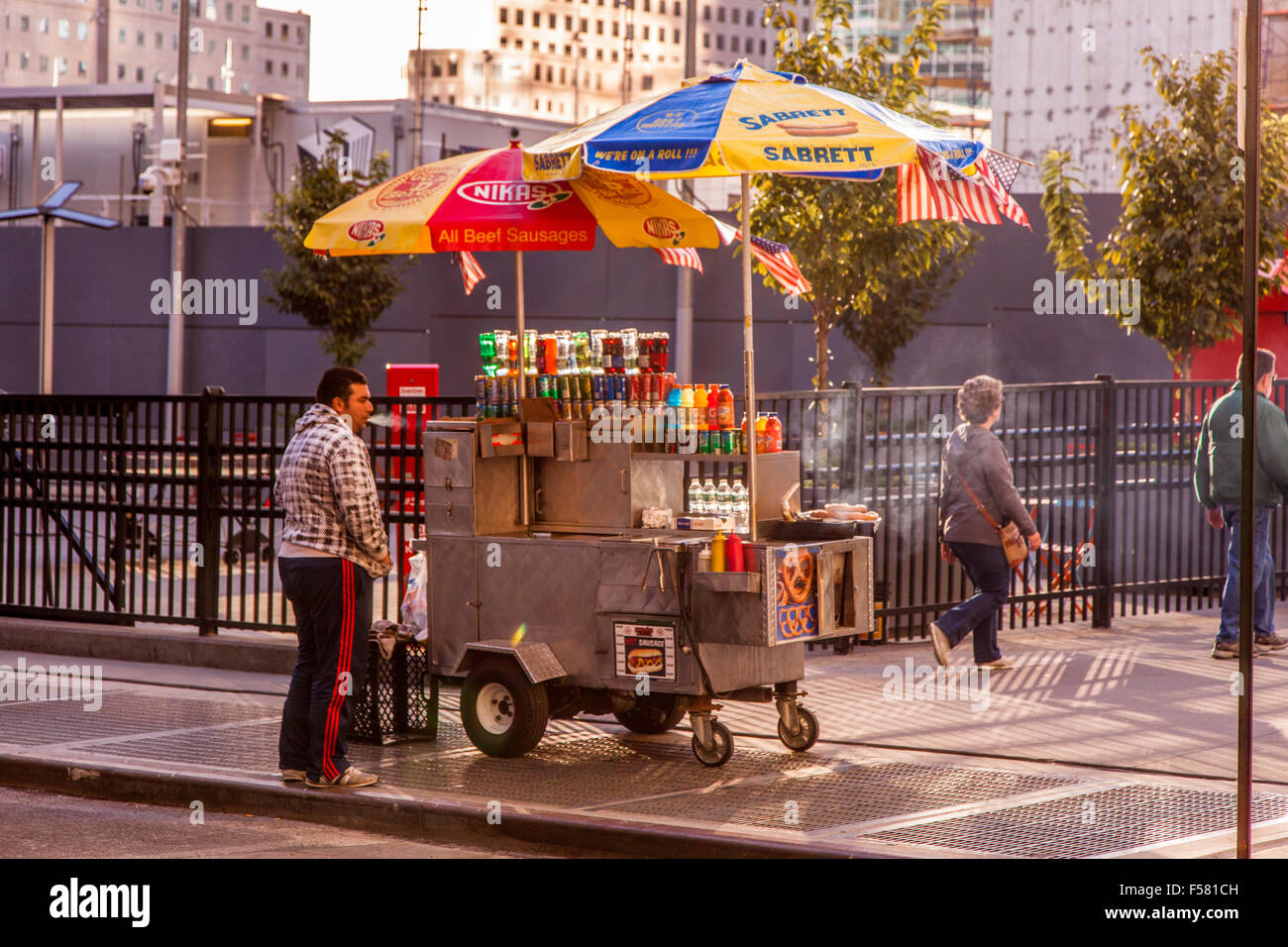 Hot dog street vendor , Lower Manhattan, New York City, United States