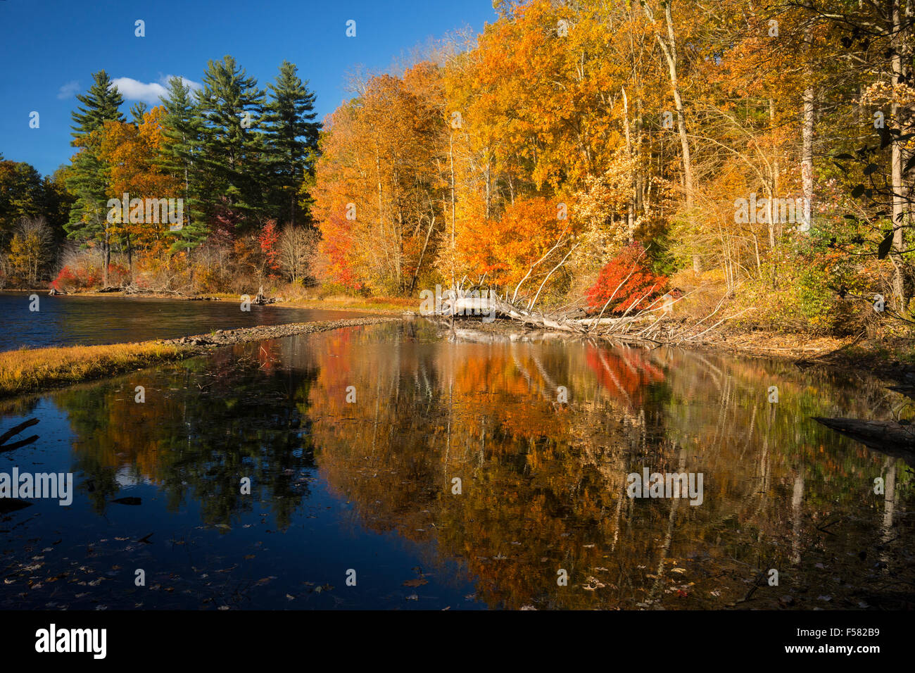Brilliant fall foliage on the shoreline of Mansfield Lake in Connecticut, with reflections on the mirror surface of the water. Stock Photo