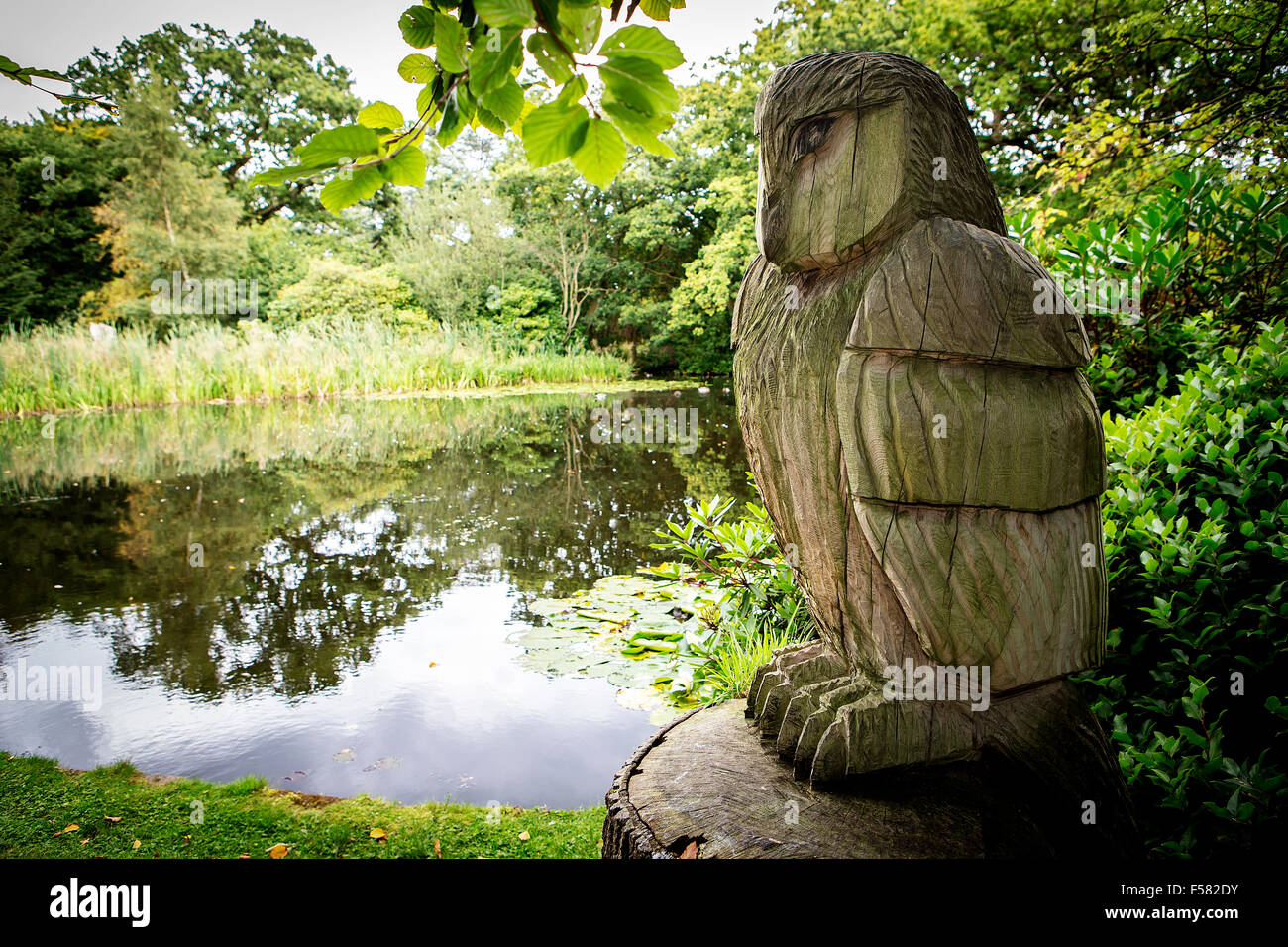 An old tree carved into an owl by a large pond at Grappenhall Heys Walled Garden, Warrington, Cheshire Stock Photo