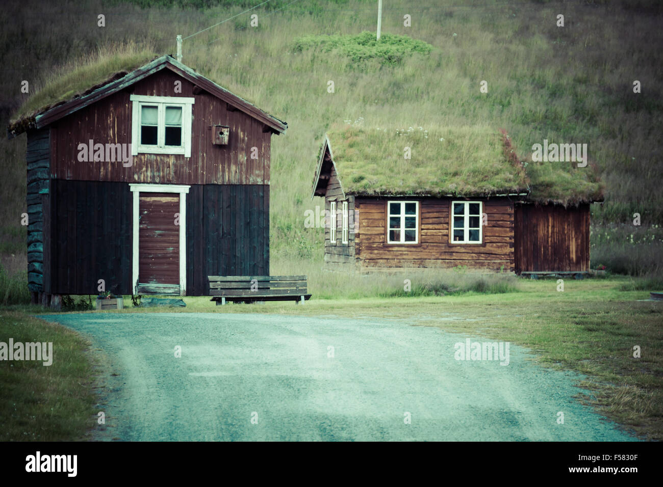 country camo air max 97