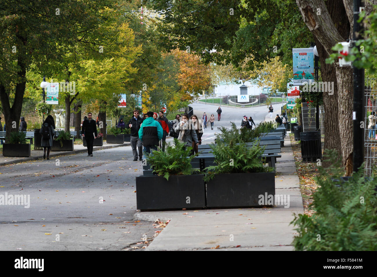 McGill University Campus in Montreal, Quebec. Stock Photo