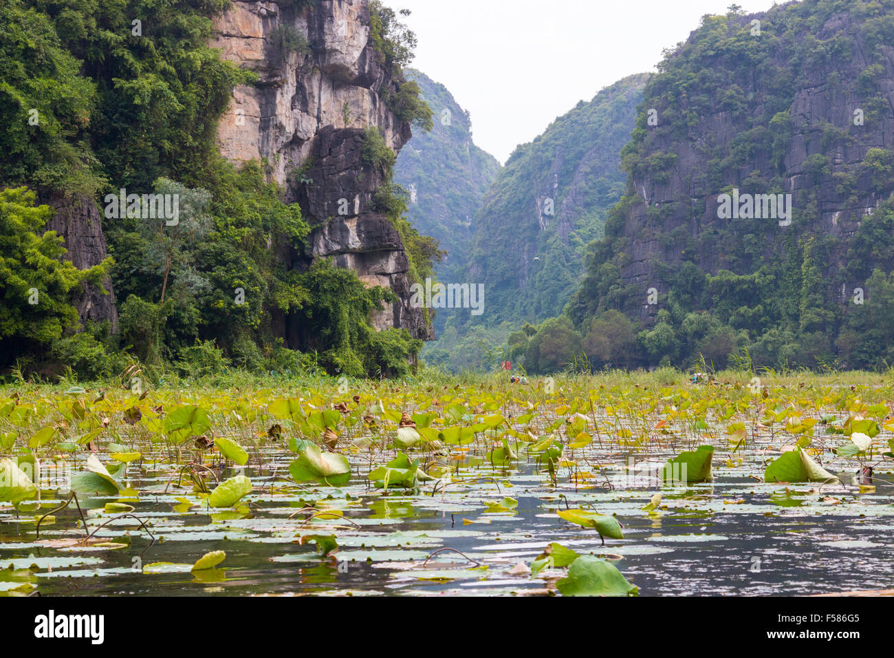 Tam Coc area of Ngo Dong River where tourists travel by boat to see caves and islands often called halong bay on land,Vietnam Stock Photo