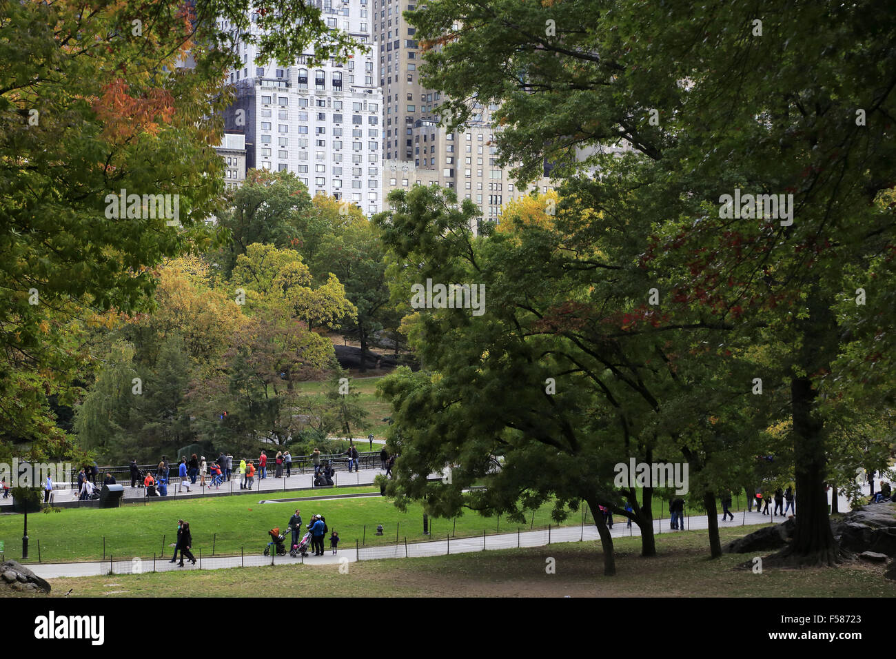 View of Central Park with highrise apartment buildings in Central Park