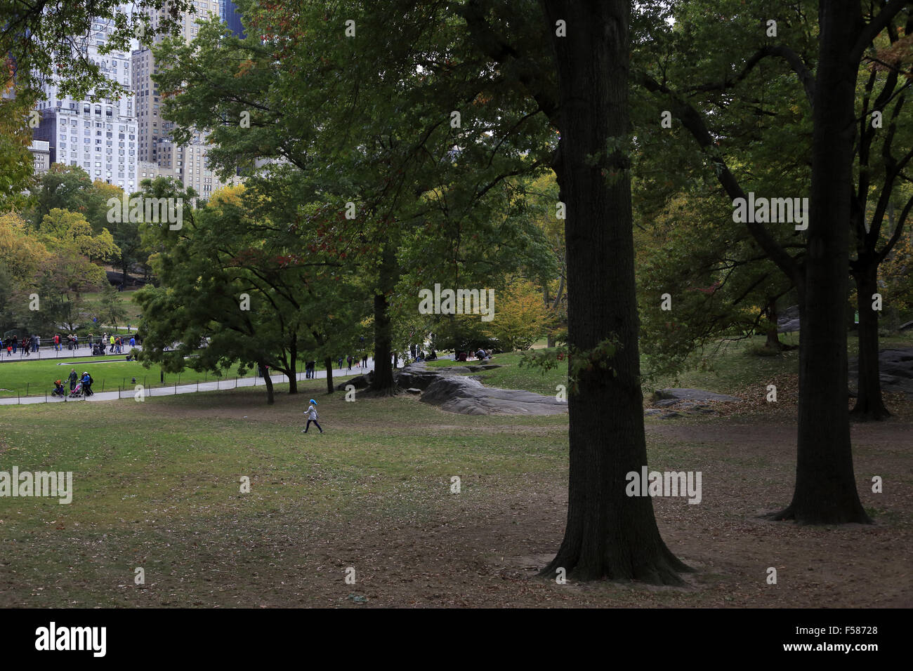 View of Central Park with highrise apartment buildings in Central Park