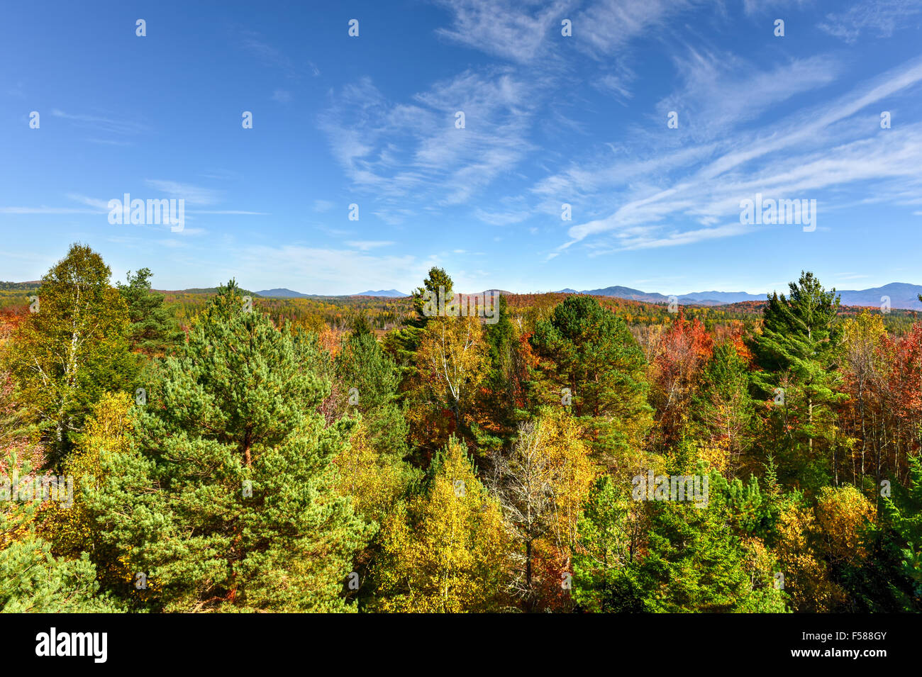 Adirondacks Peak Fall Foliage in upstate New York Stock Photo Alamy