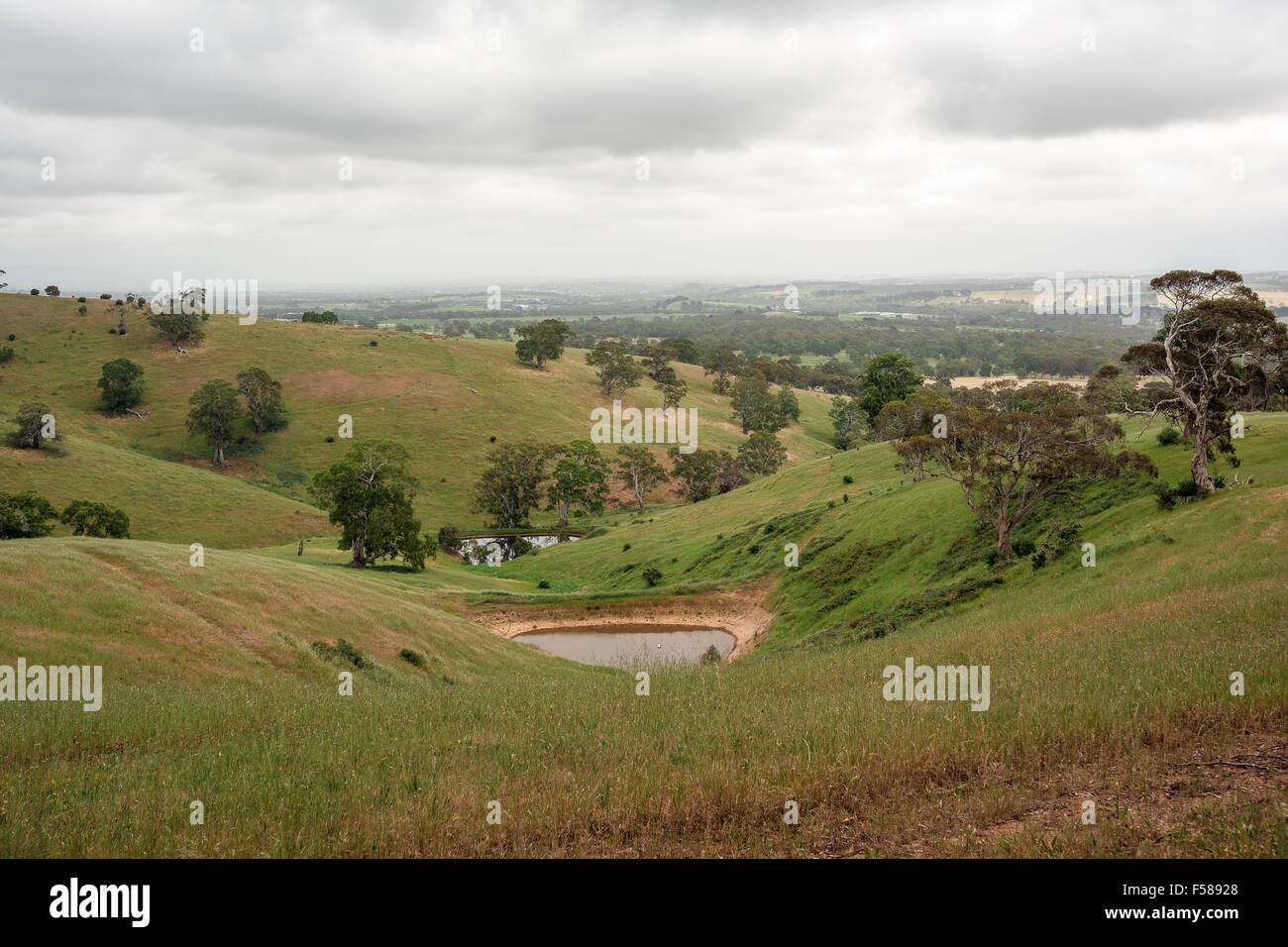 The beautiful green rolling farmland of the Adelaide hills after good ...