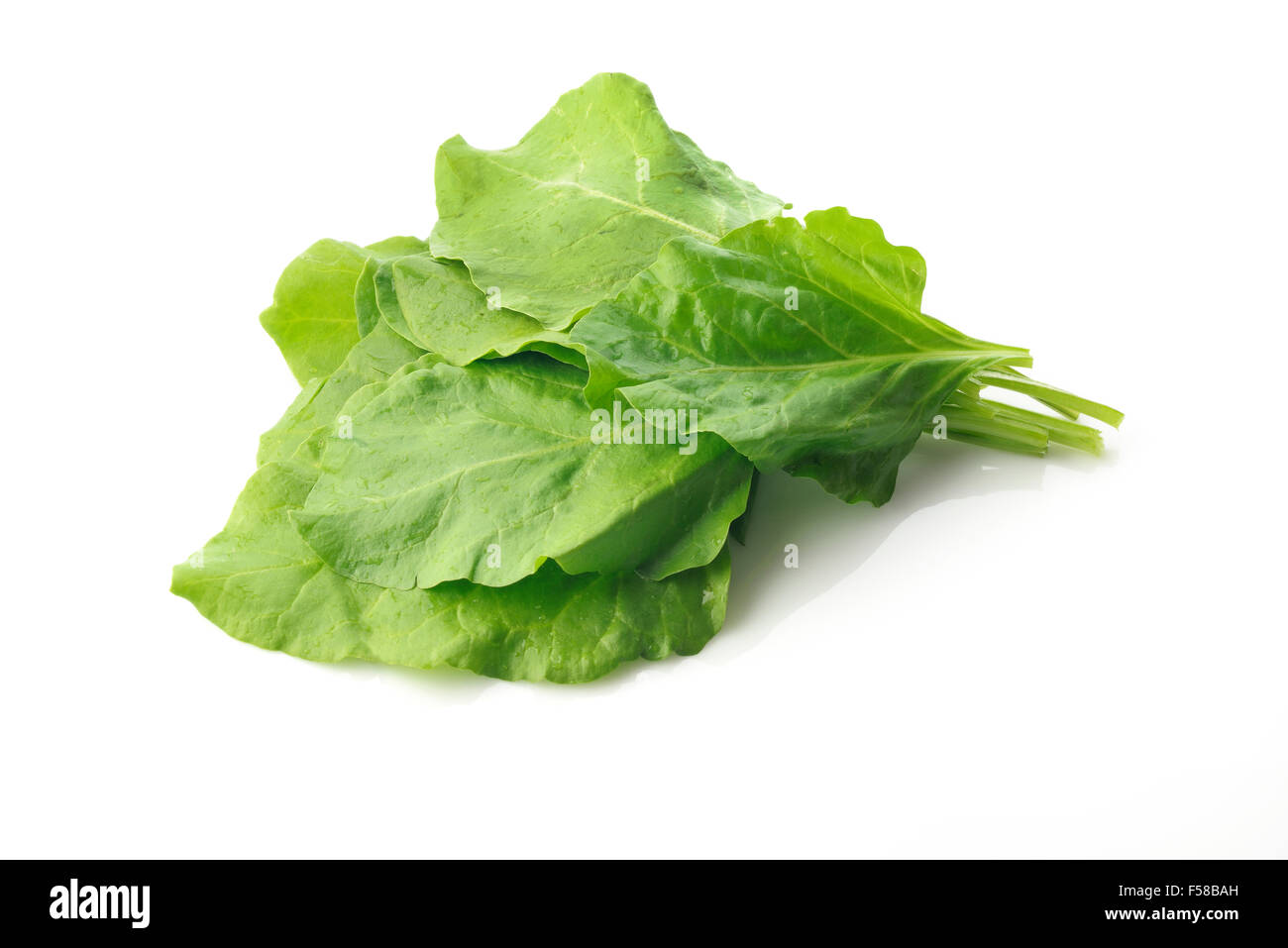 Fresh Green Spinach Leaves on White Background Stock Photo - Alamy