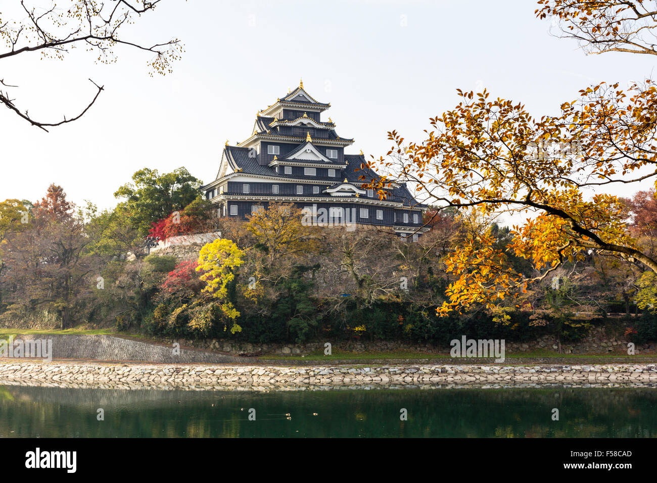 Japan, Okayama castle, known as the Crow castle. Black keep surrounded by autumn foliage with ...