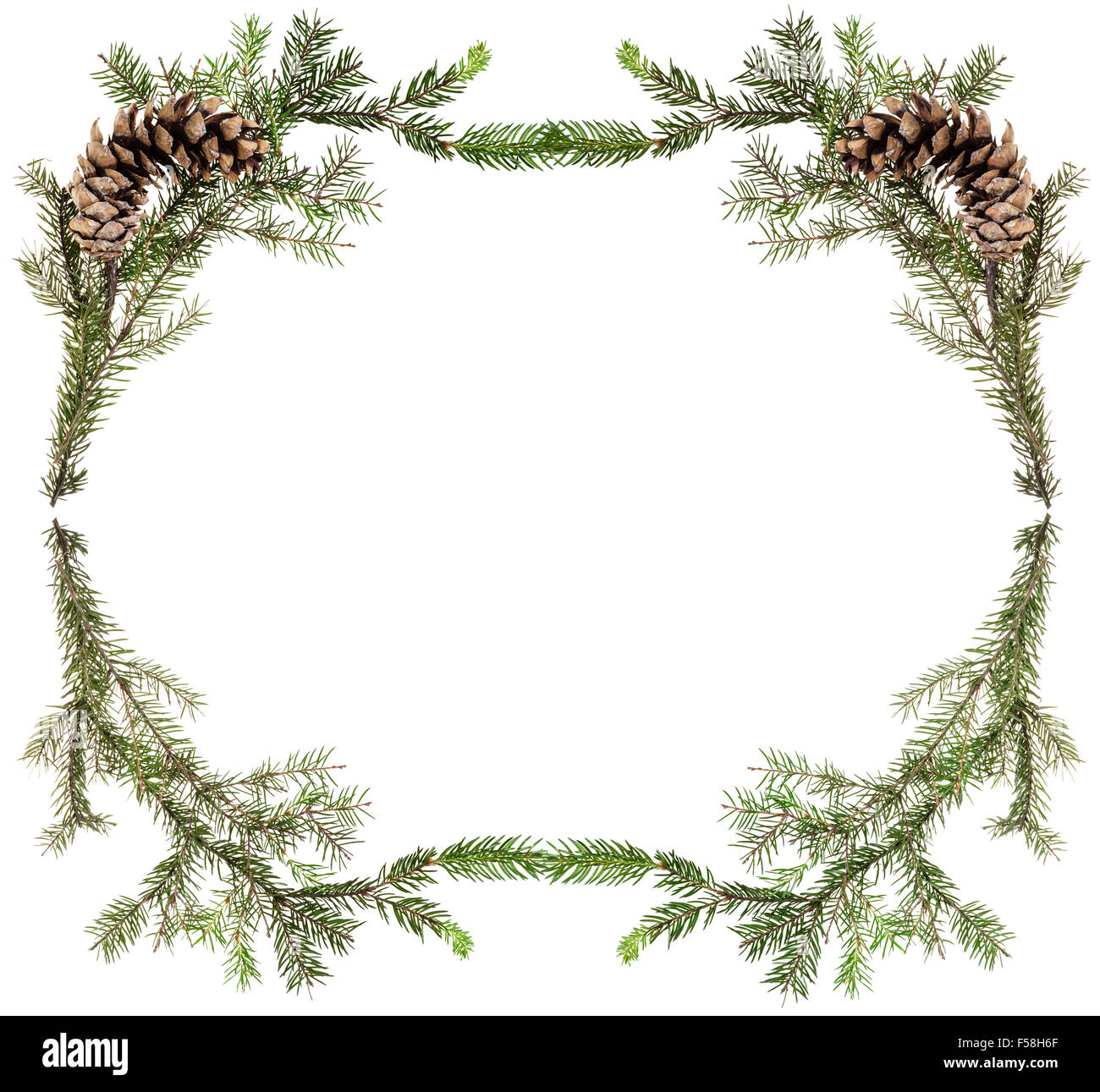 christmas greeting card frame - simple spruce twigs with cones on white background Stock Photo