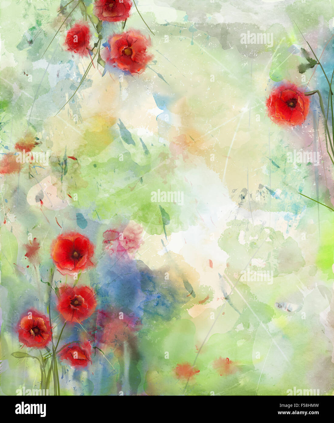 Red poppy flower with scenic watercolor background Stock Photo