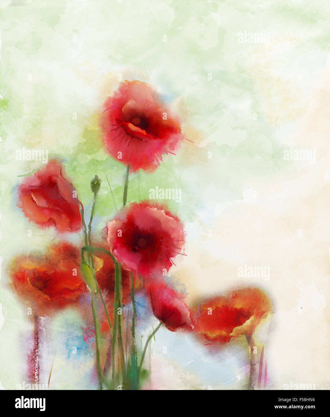 Watercolor flowers painting.Flowers in soft color and blur style for background.Vintage painting flowers Stock Photo