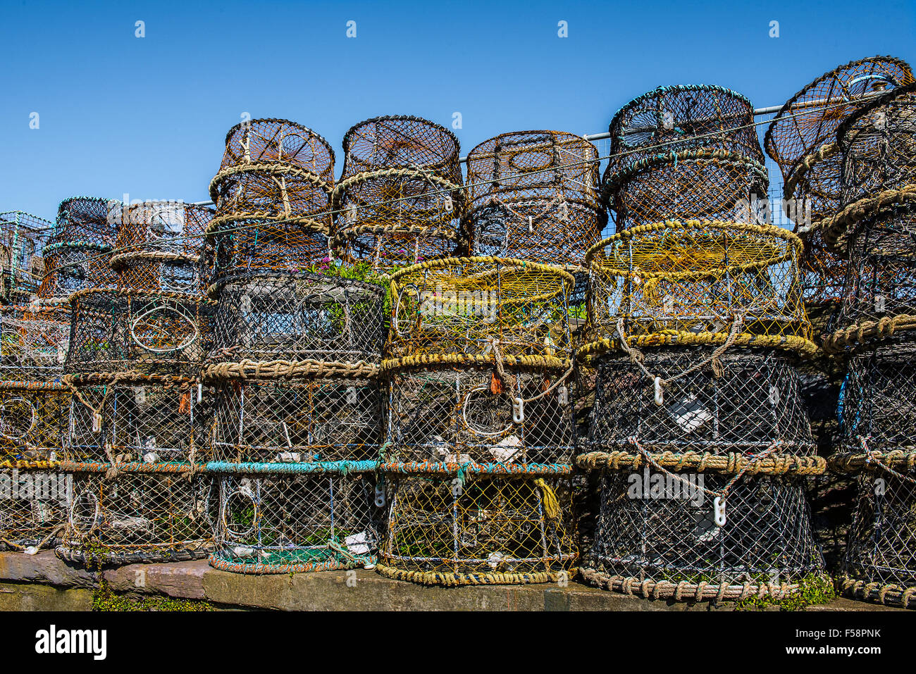 Brixham crab hi-res stock photography and images - Alamy