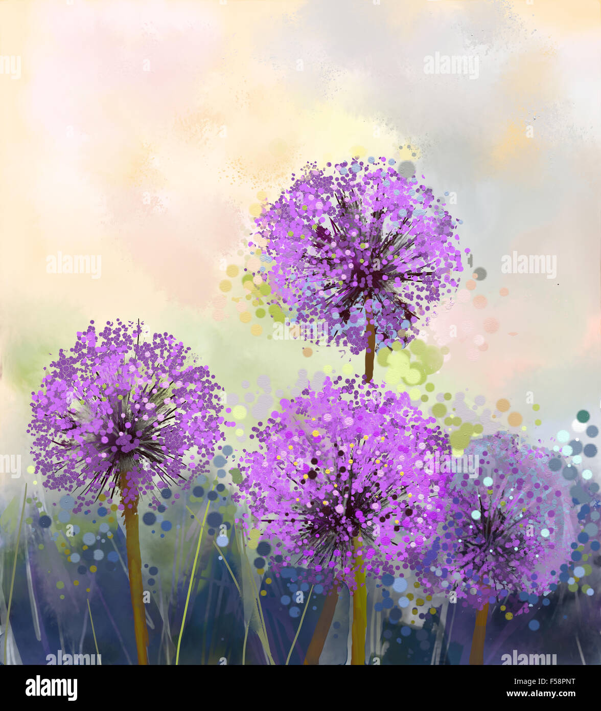 Onion flowers oil painting hi-res stock photography and images - Alamy