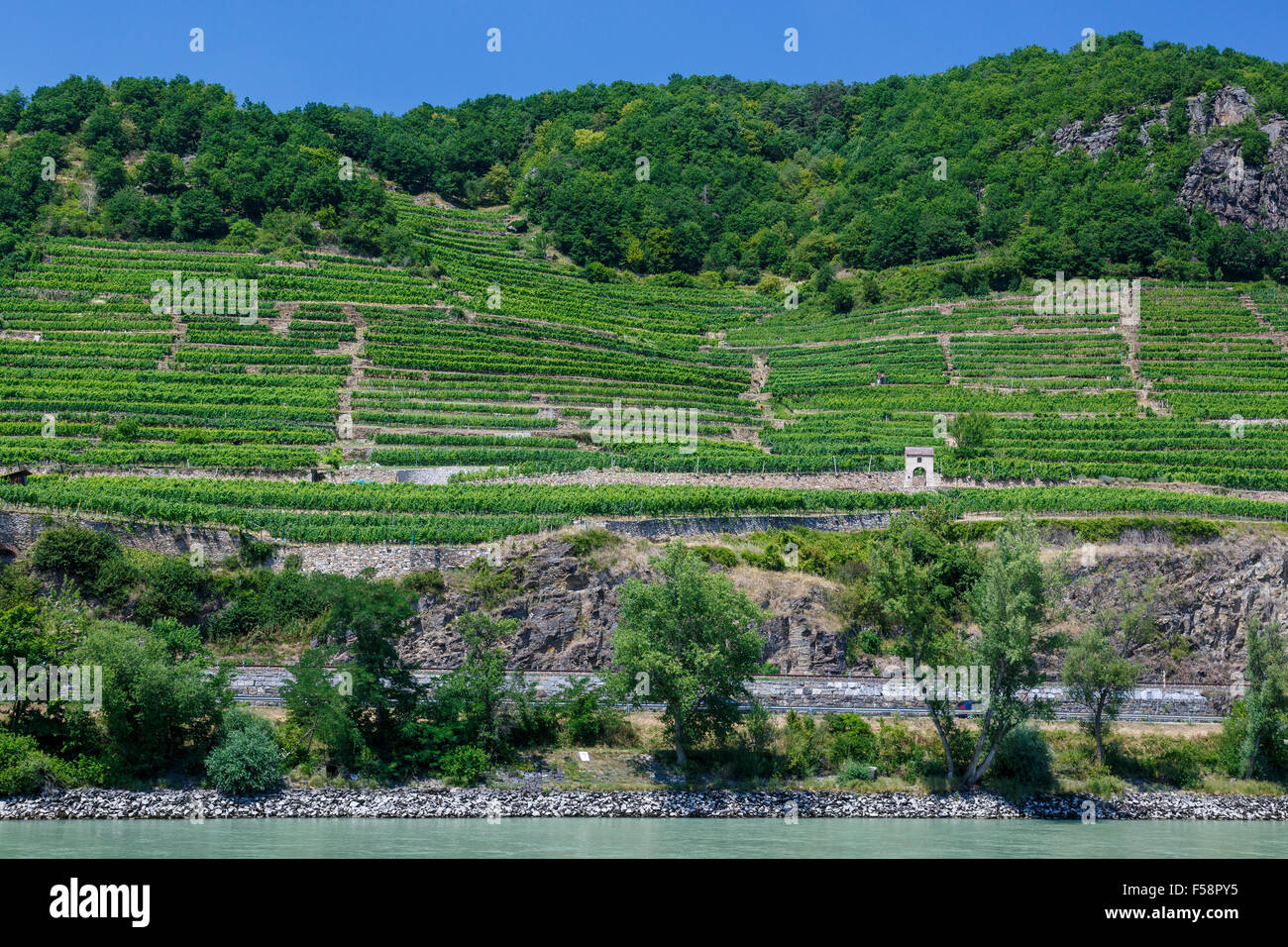 The world famous terraced vineyards alongside the Danube River in the Wachau Valley, Lower Austria. Stock Photo