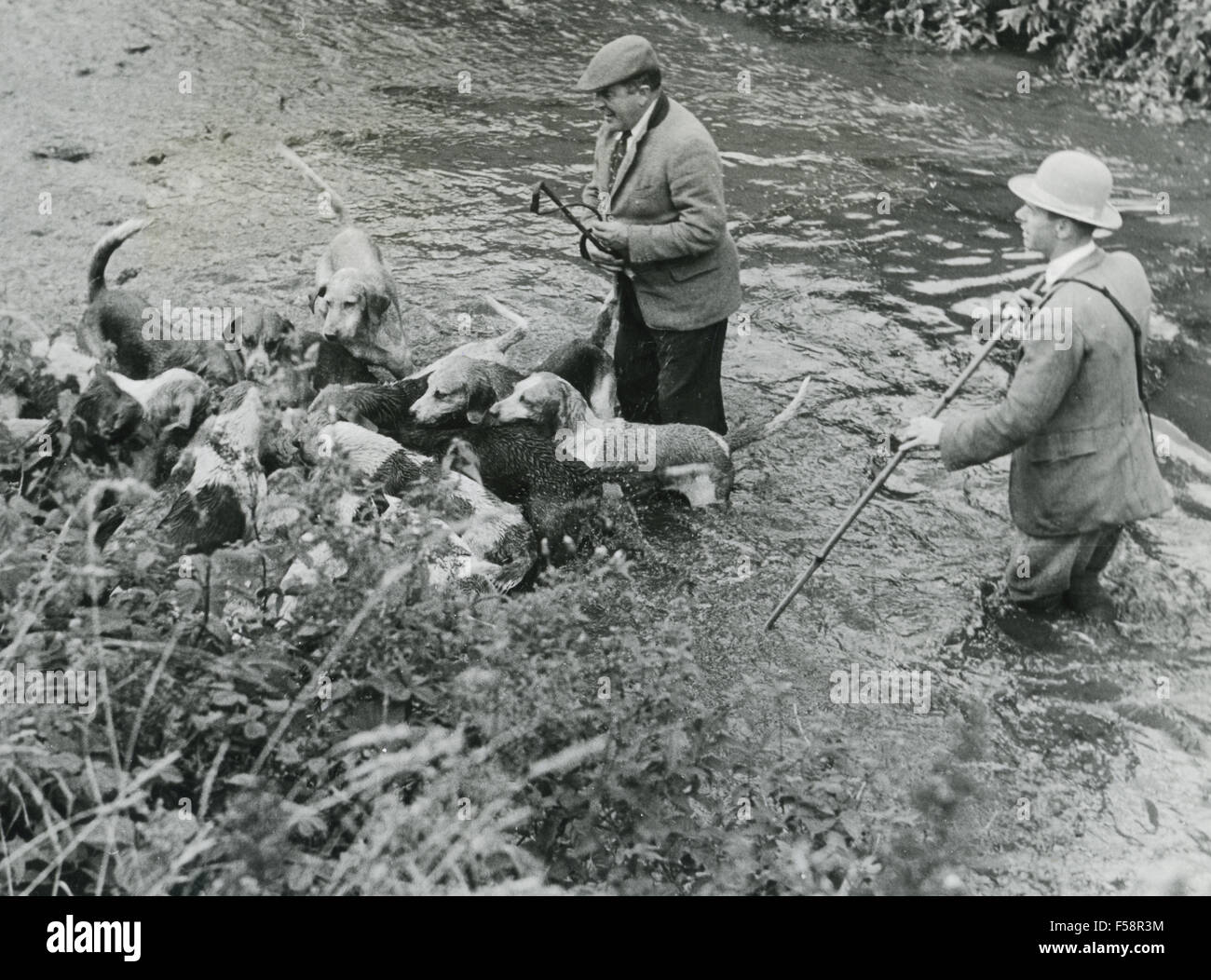 OTTER HUNTING in England about 1962 Stock Photo - Alamy