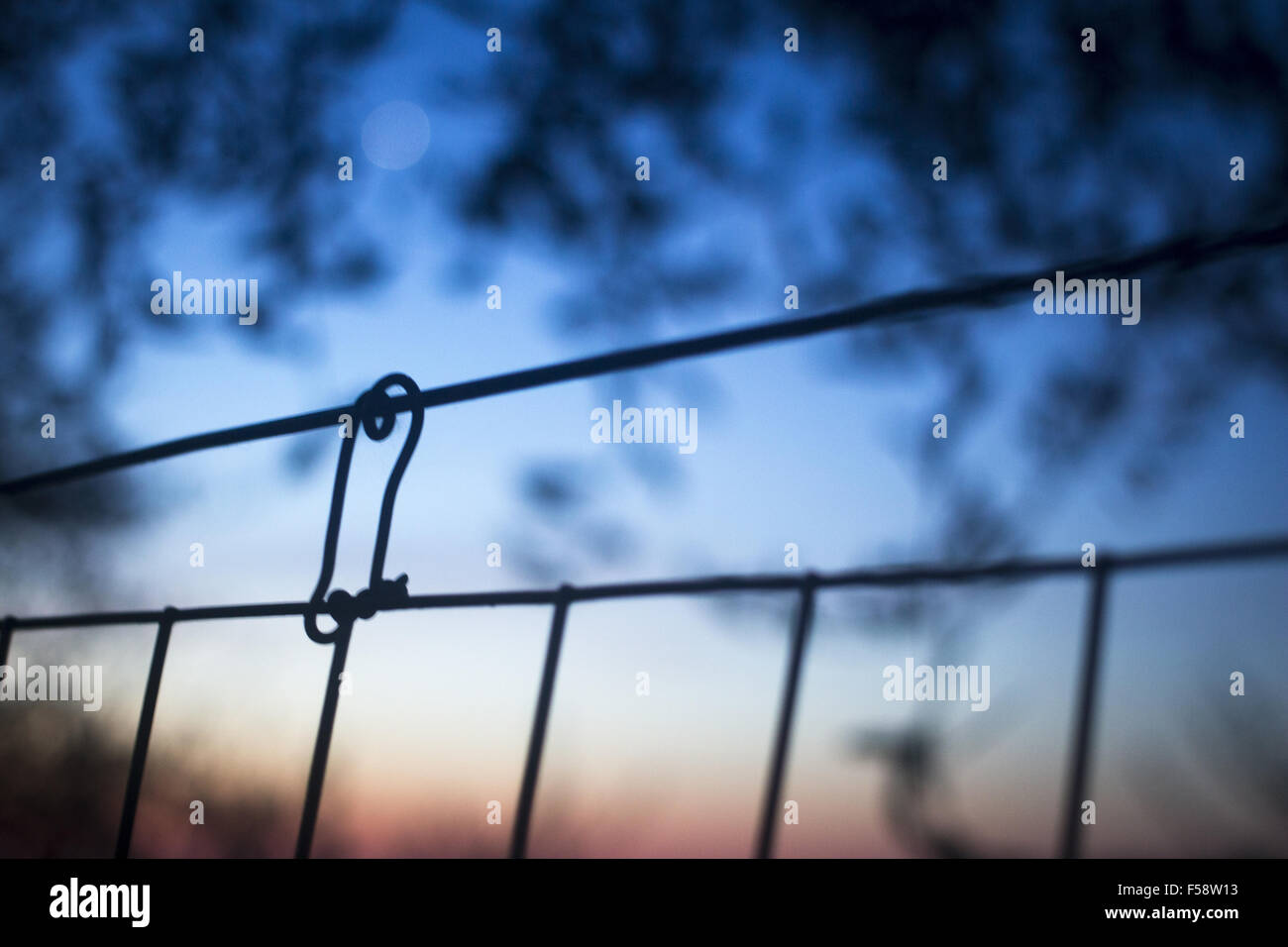 Metal Fence and plants silhouette at sunset in summer color photo Stock ...