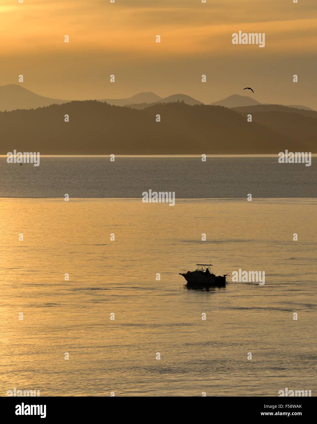 A small boat fishing in the waters of the "Inside Passage", Alaska, USA