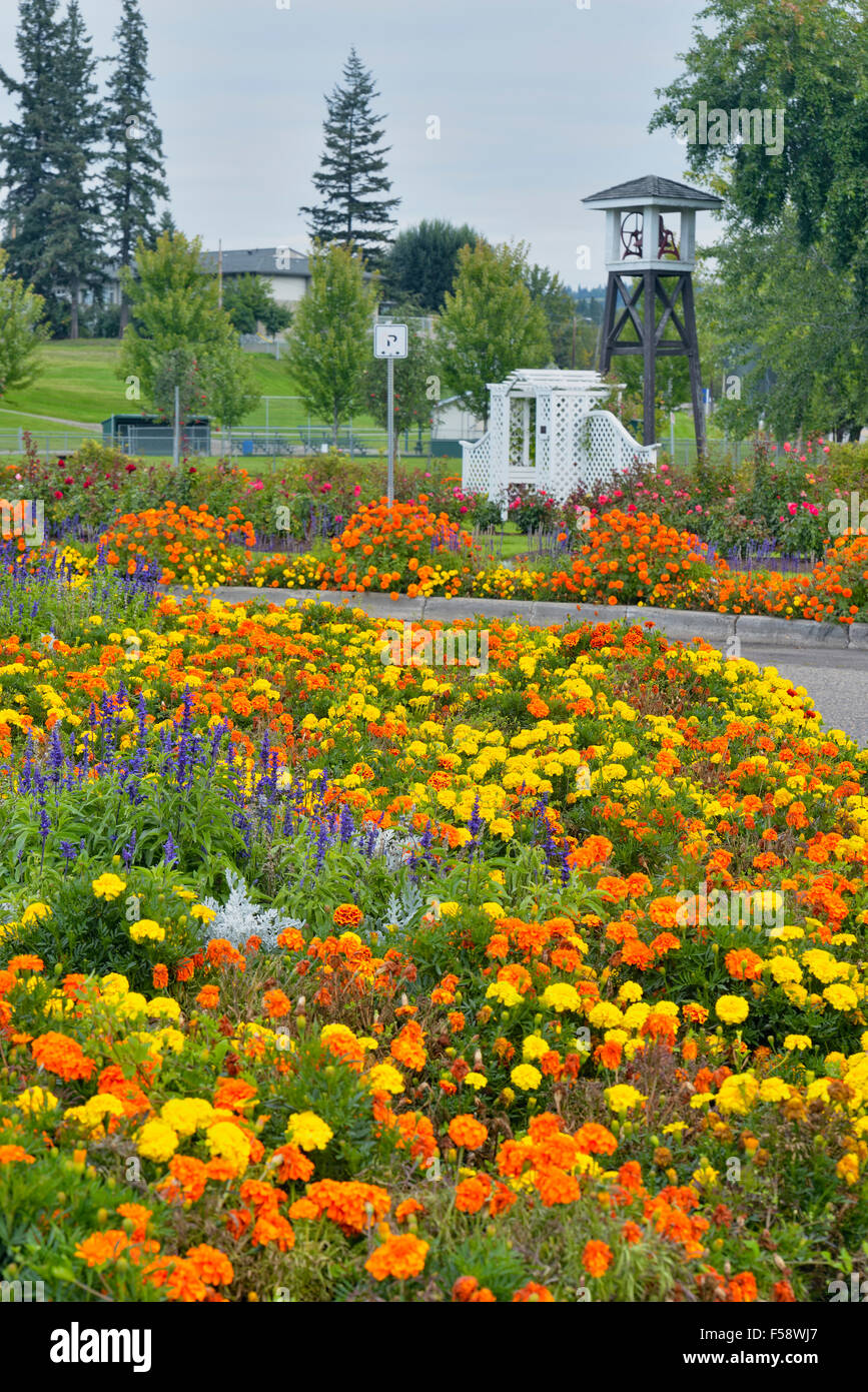 Floral display at the Quesnel Visitors Centre, , British Columbia, Canada Stock Photo