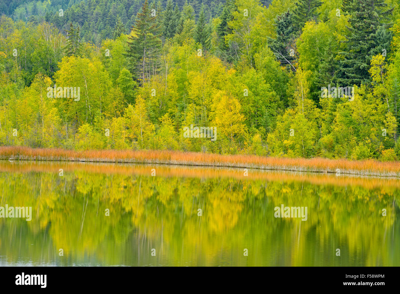 Mcleese hires stock photography and images Alamy