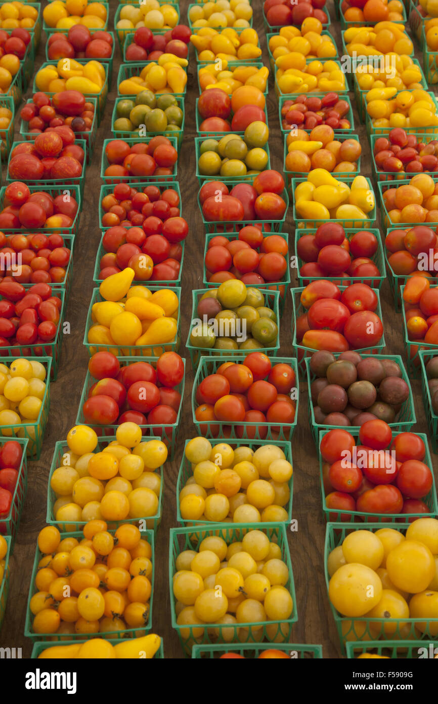 A bumper crop of various types of small tomatoes for sale at a farmers market in Brooklyn, New