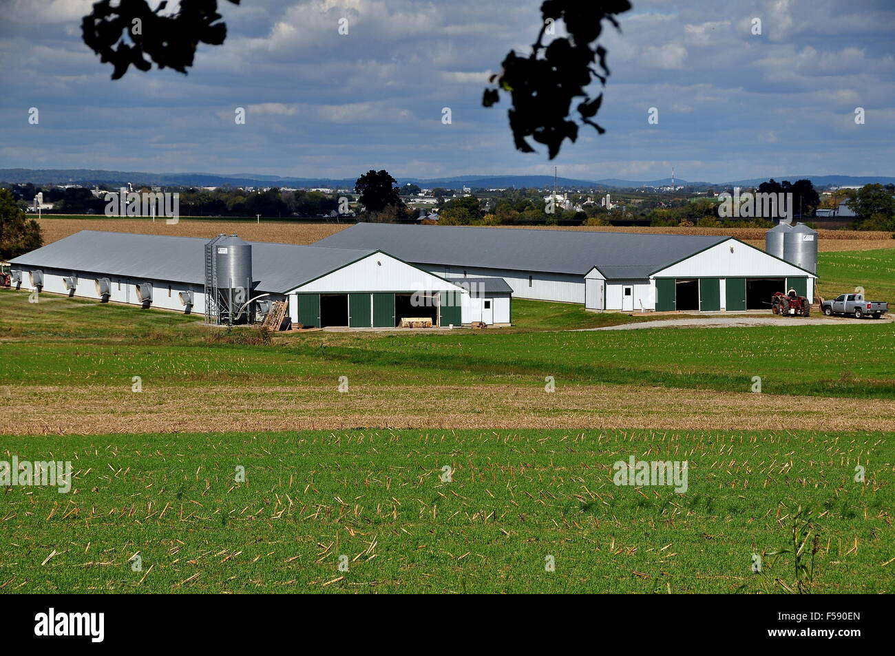 Lancaster County, Pennsylvania Two long barns with metal silos at an