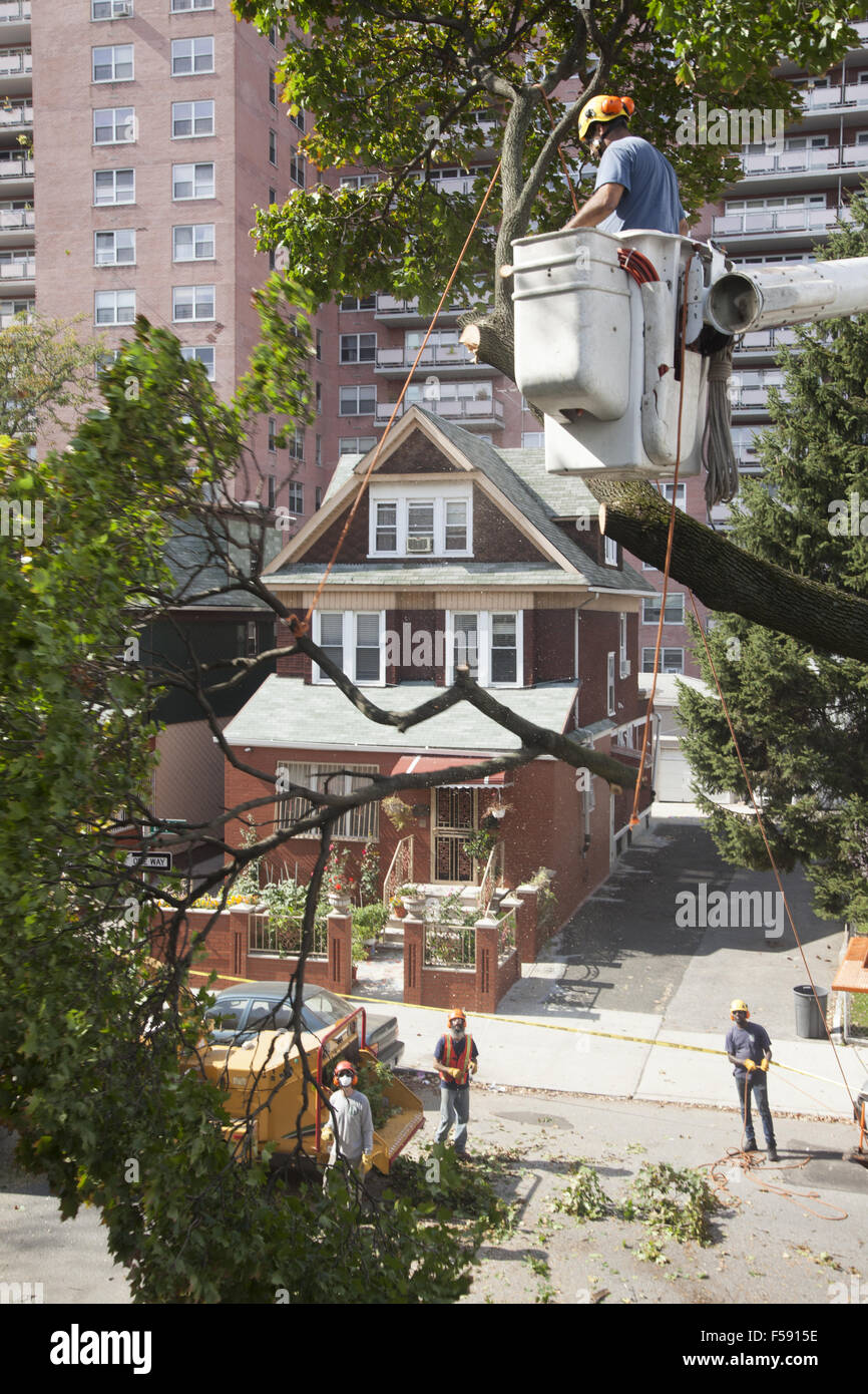 Removal team hires stock photography and images Alamy