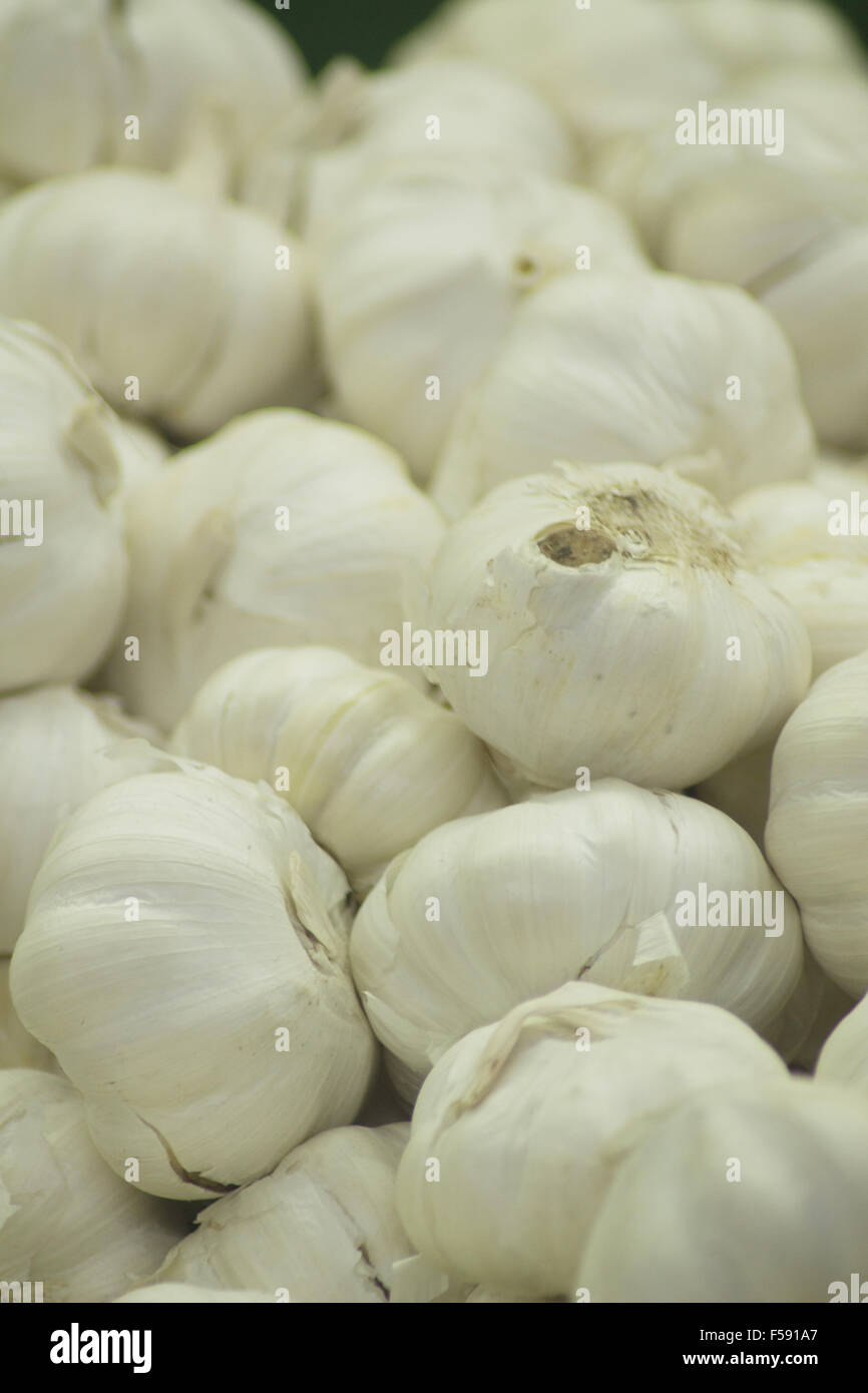 Garlic clove vegetables on sale in supermarket grocers shop on display