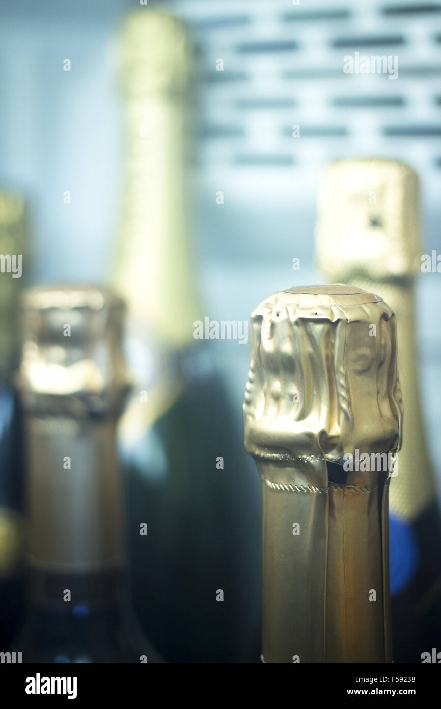 Champagne sparkling white wine bottles rack fridge refrigerator cooler in restaurant in Rome