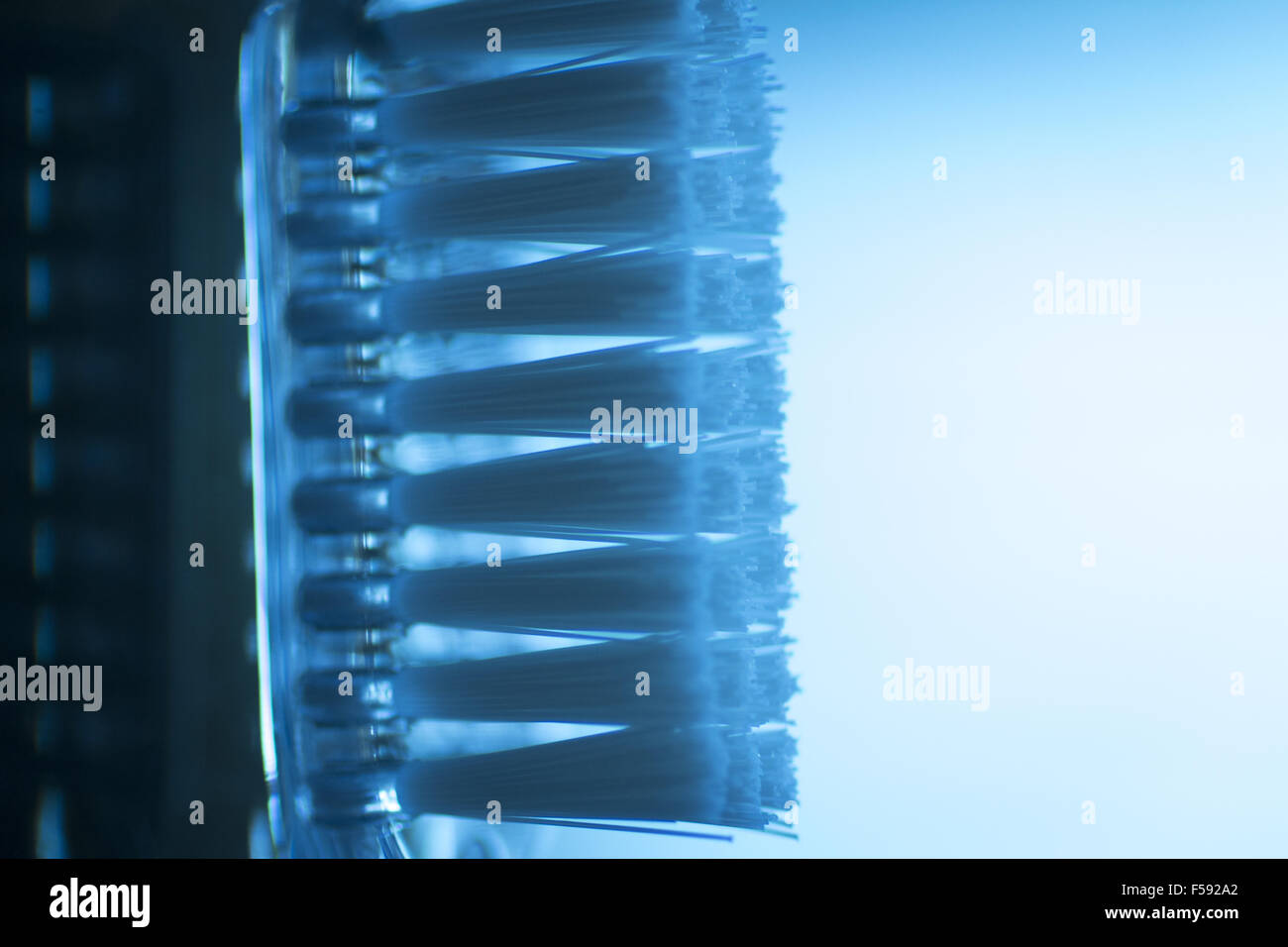 Toothbrush dental hygiene plaque control artistic teeth cleaning dental