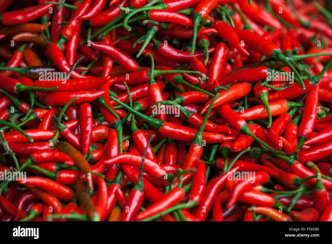 Red Chili Pepper at the local market, Sapa, Vietnam Stock Photo