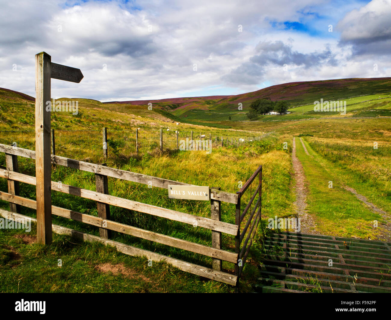 Bells Valley in the Northumberland National Park near Wooler