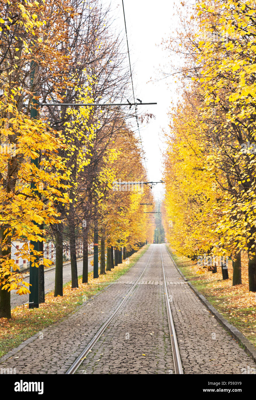 Alley autumn hi-res stock photography and images - Alamy