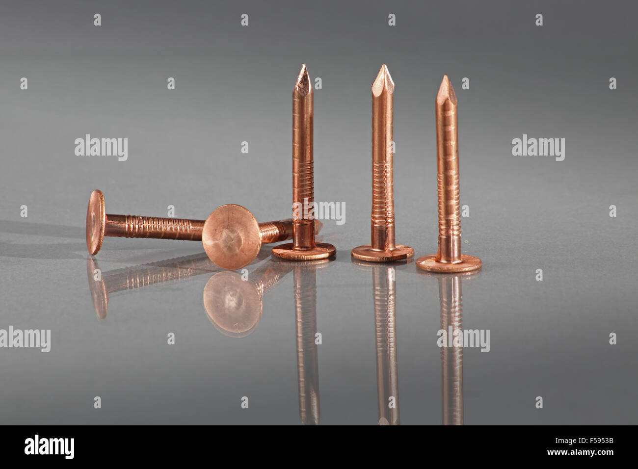 Copper roofing nails shown on a plain reflective background. Copper nails are used for slate roofing and in maritime conditions Stock Photo