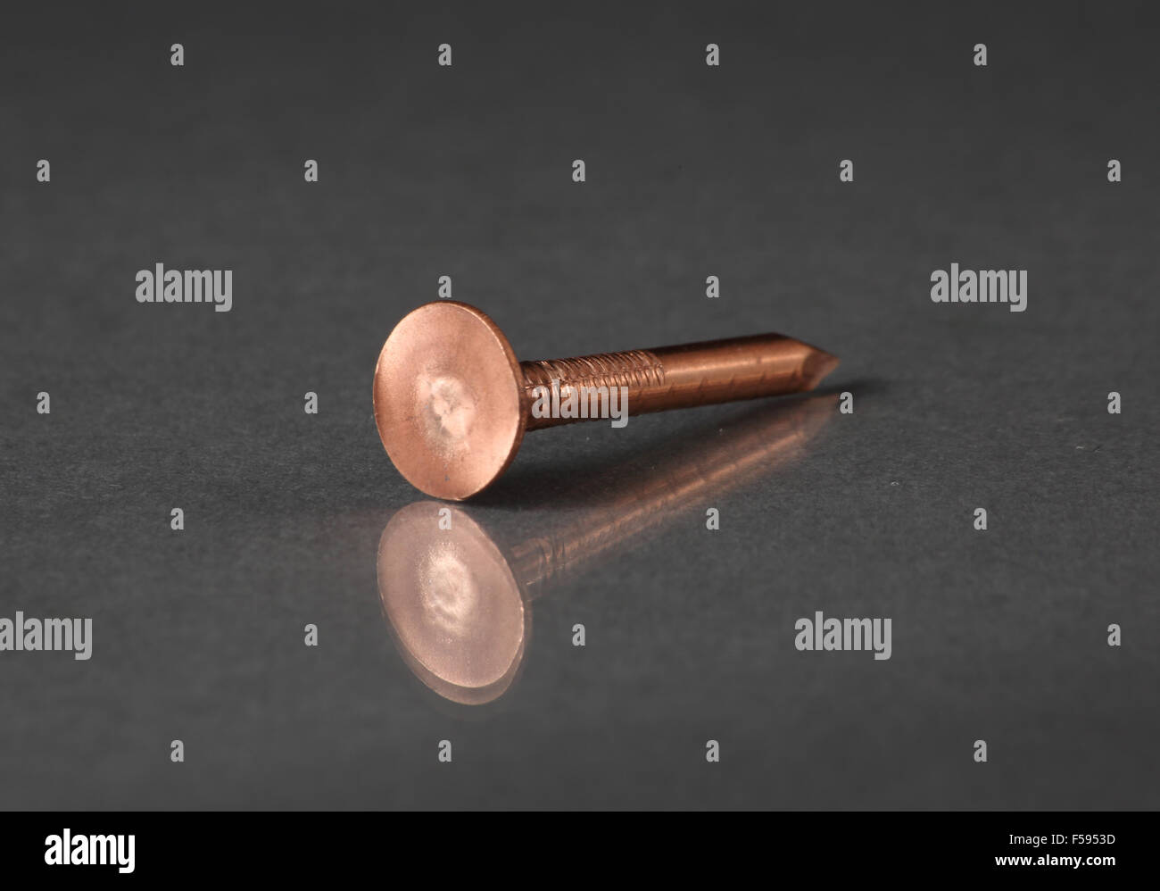 A single copper roofing nail shown on a plain reflective background. Copper nails are used for slate roofing Stock Photo