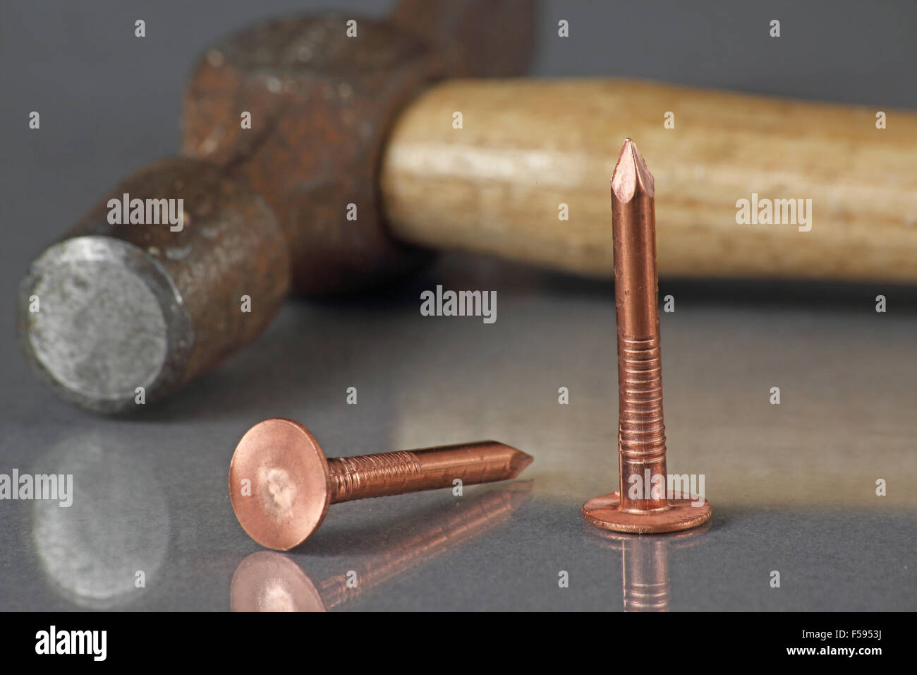Roofing tacks hires stock photography and images Alamy